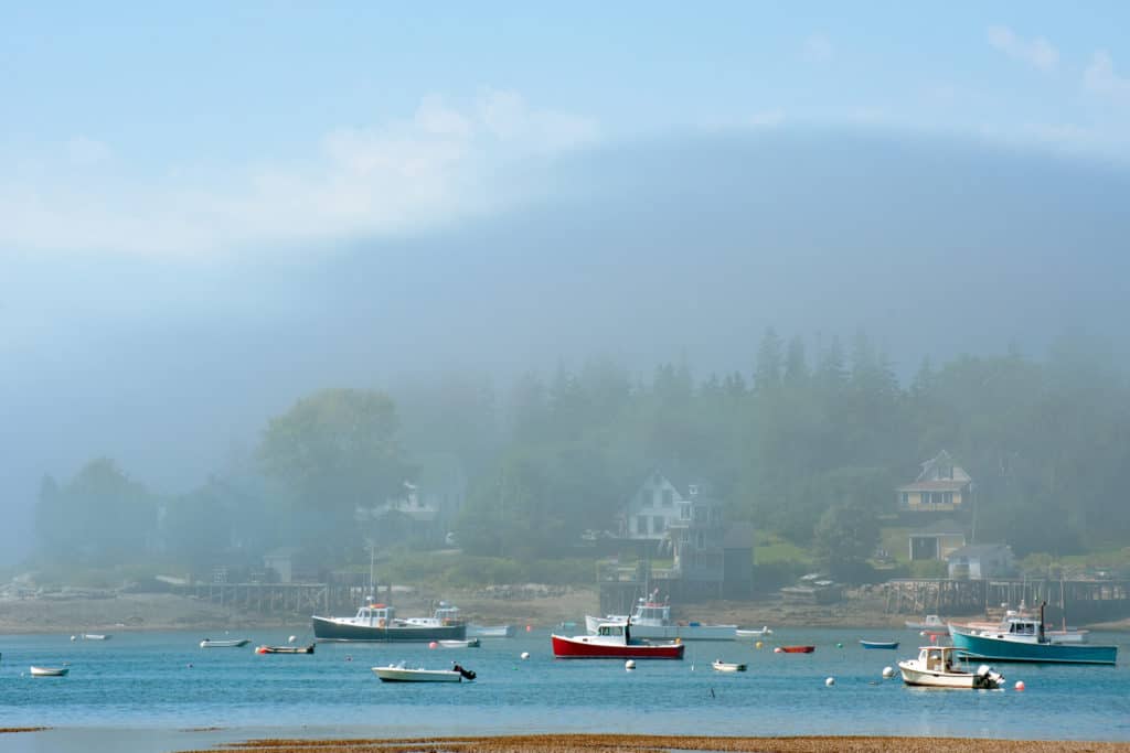 crowded boats and fog in bass harbor, maine.